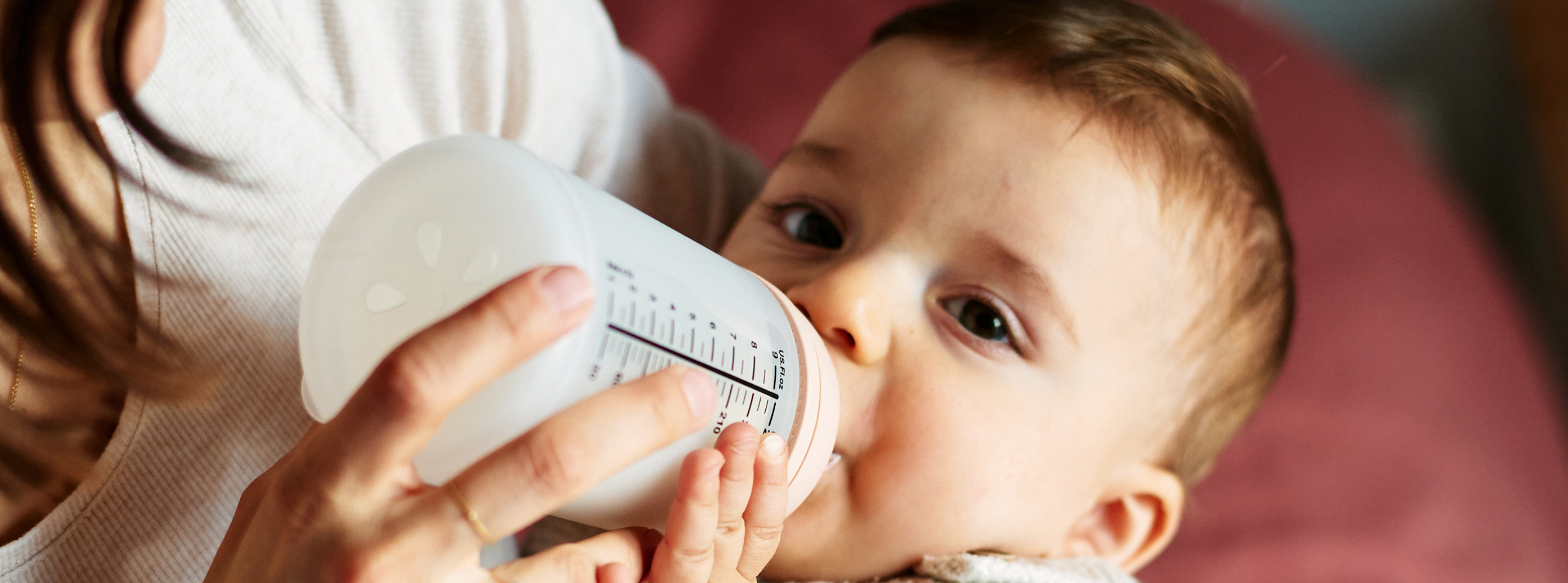 How to Bottle Feed a Newborn? Positions, tips & what to know