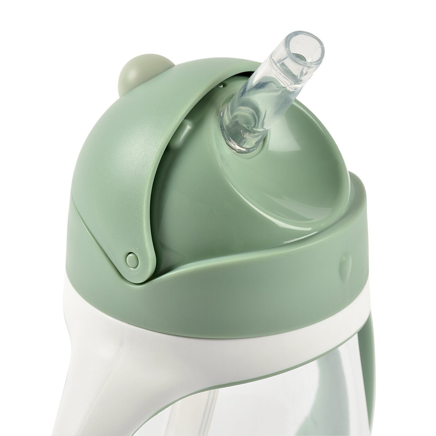 #color_sage green