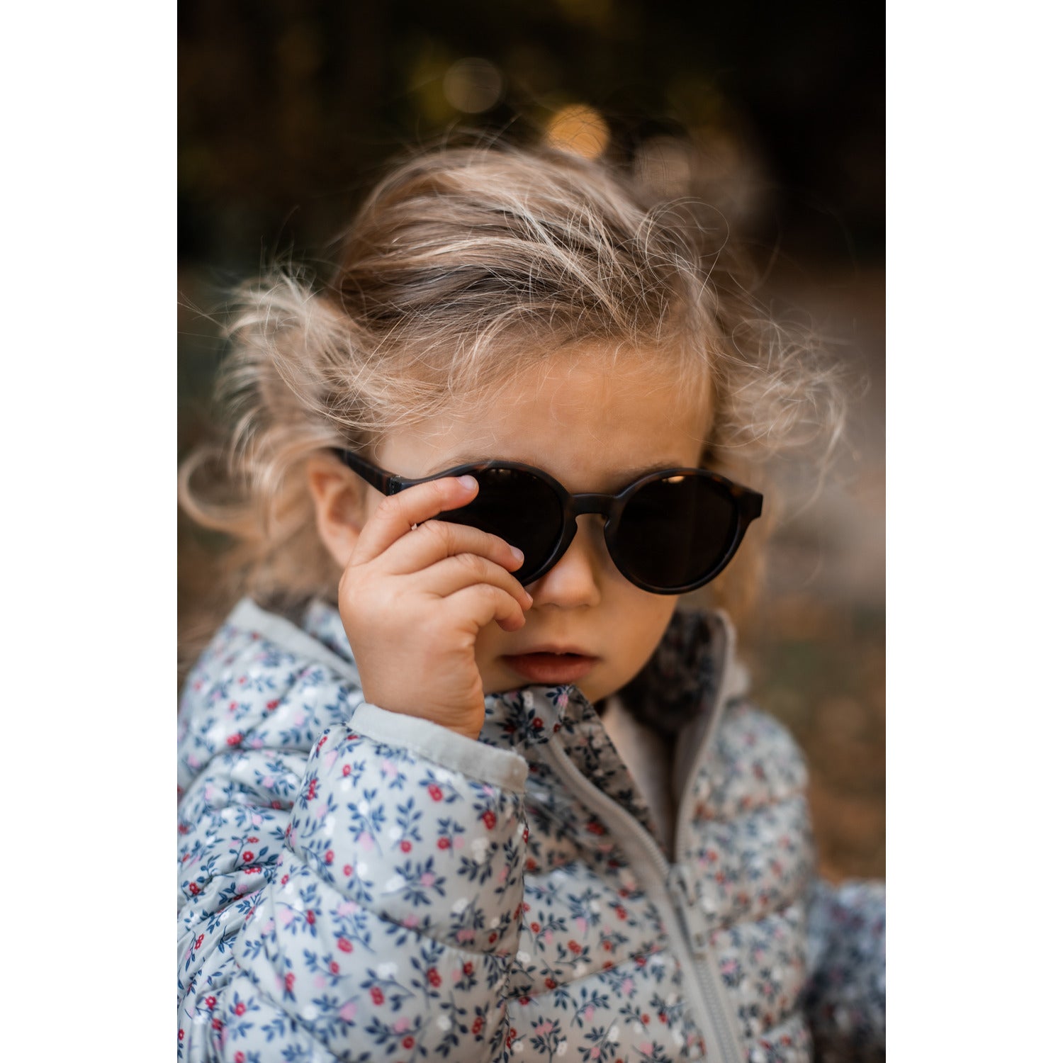 #color_Tortoise shell