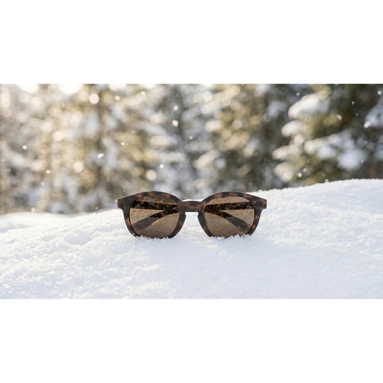 #color_Leopard Tortoiseshell